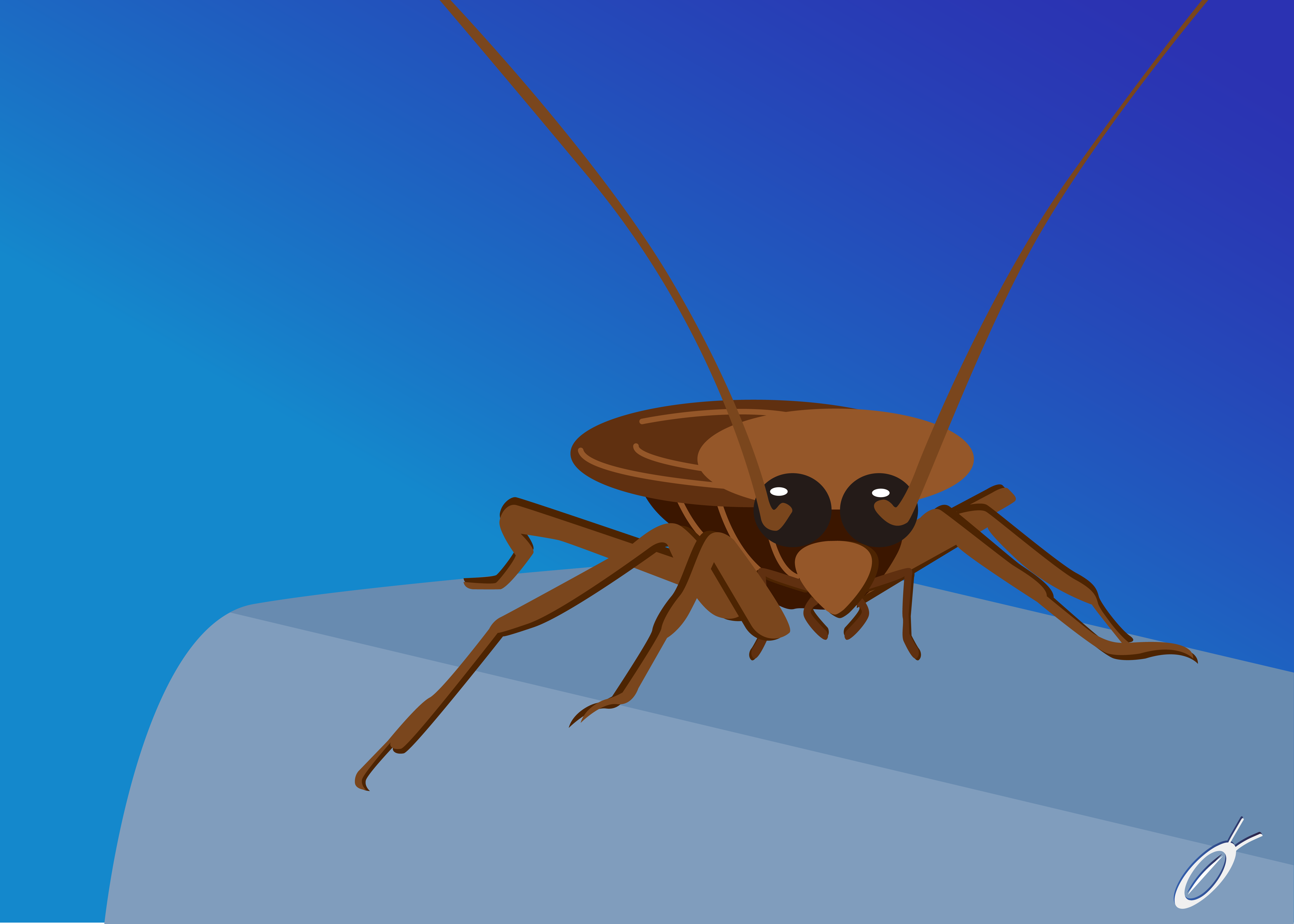 Doctor-cockroach-thailand-the-best-กำจัดแมลงสาบ-อันดับหนึ่ง-ในไทย-ด้วยน้ำยาสมุนไพร